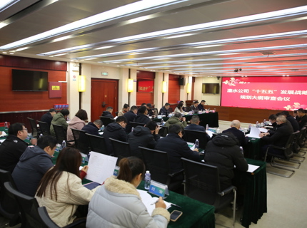 澧水公司召開“十五五”發(fā)展戰(zhàn)略規(guī)劃大綱審查會